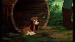 Fox and the Hound picture