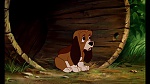 Fox and the Hound picture