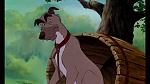 Fox and the Hound picture