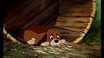 Fox and the Hound picture