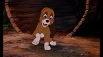 Fox and the Hound picture