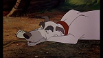 Fox and the Hound picture