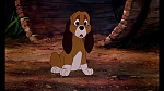 Fox and the Hound picture