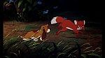 Fox and the Hound picture