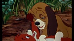 Fox and the Hound picture