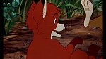 Fox and the Hound picture