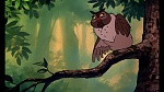 Fox and the Hound picture