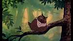 Fox and the Hound picture