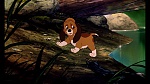 Fox and the Hound picture