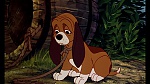 Fox and the Hound picture