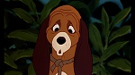 Fox and the Hound picture