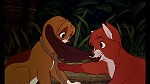 Fox and the Hound picture