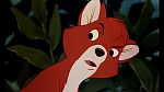 Fox and the Hound picture