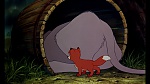 Fox and the Hound picture