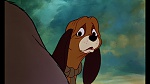 Fox and the Hound picture