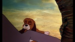 Fox and the Hound picture
