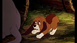 Fox and the Hound picture