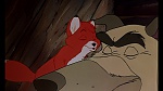 Fox and the Hound picture