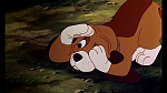 Fox and the Hound picture