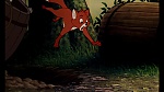 Image Fox and the Hound