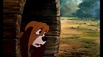Fox and the Hound picture