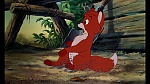 Fox and the Hound picture