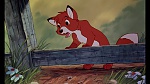 Fox and the Hound picture