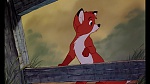 Fox and the Hound picture