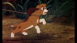 Fox and the Hound picture