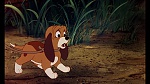 Fox and the Hound picture