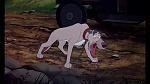 Fox and the Hound picture
