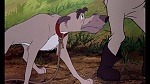 Fox and the Hound picture