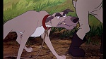 Fox and the Hound picture