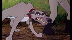 Fox and the Hound picture