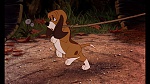 Fox and the Hound picture