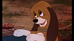 Fox and the Hound picture