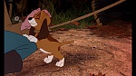 Fox and the Hound picture