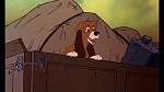 Fox and the Hound picture