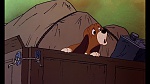 Fox and the Hound picture