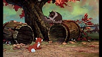 Fox and the Hound picture