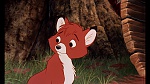 Fox and the Hound picture