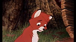 Fox and the Hound picture