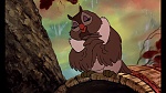 Fox and the Hound picture