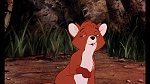 Fox and the Hound picture