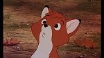 Fox and the Hound picture