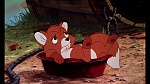 Fox and the Hound picture