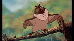 Fox and the Hound picture