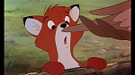 Fox and the Hound picture