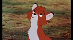 Fox and the Hound picture