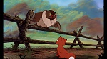 Fox and the Hound picture